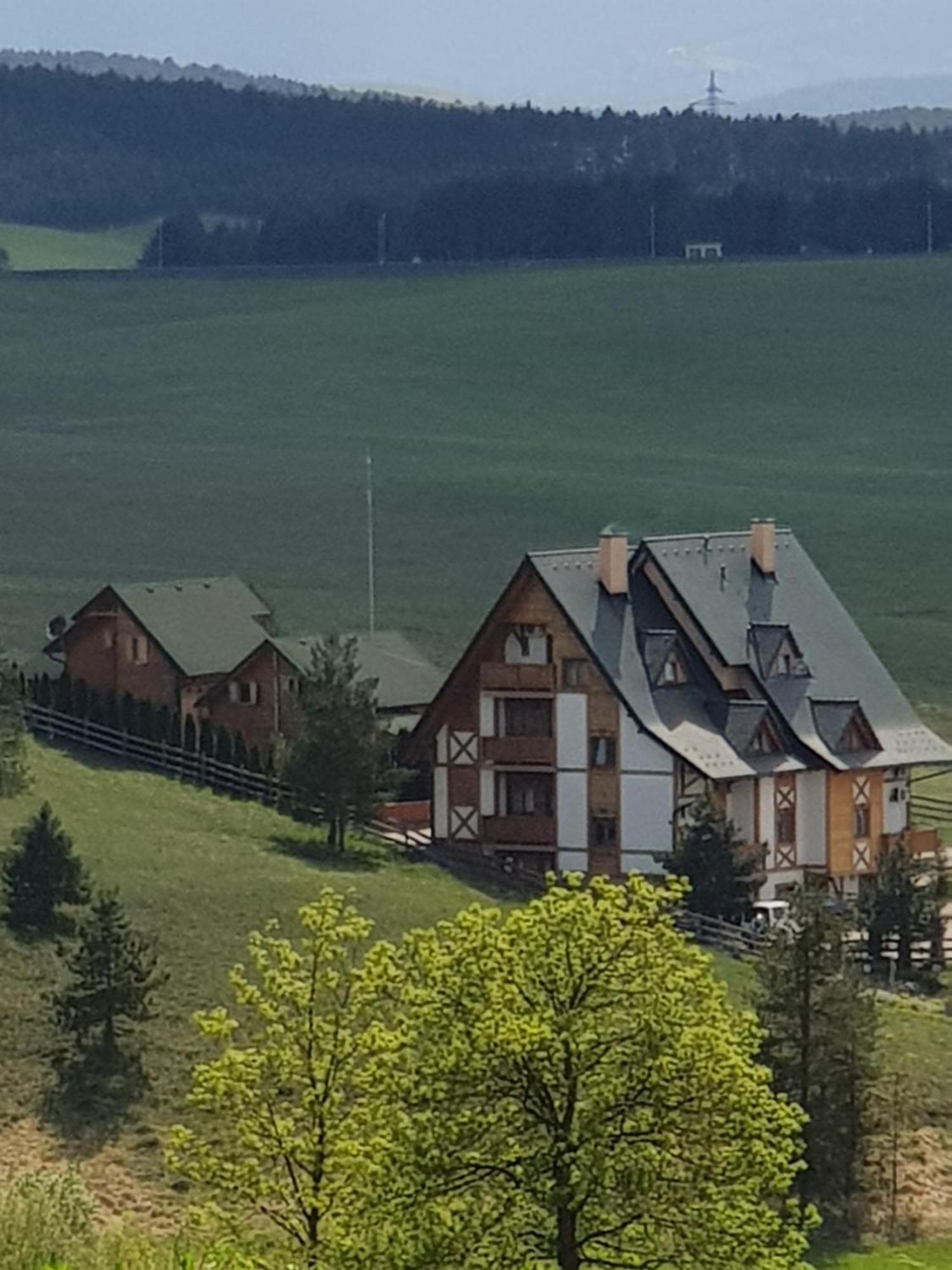 Brvnare Bor Villa Zlatibor Ngoại thất bức ảnh