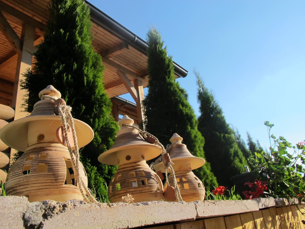Brvnare Bor Villa Zlatibor Ngoại thất bức ảnh