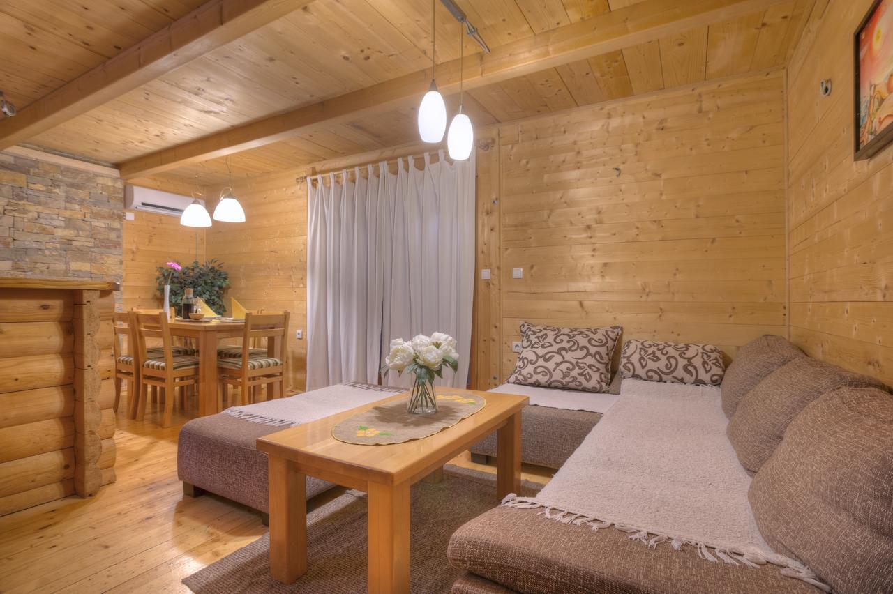 Brvnare Bor Villa Zlatibor Ngoại thất bức ảnh